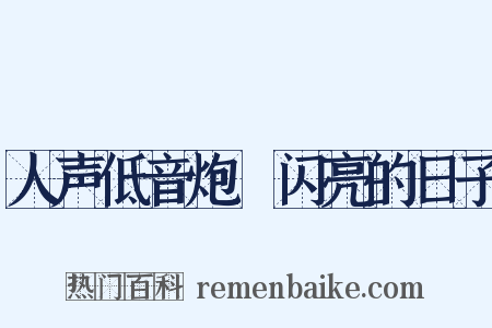 人声低音炮Ⅰ闪亮的日子是什么意思的图片